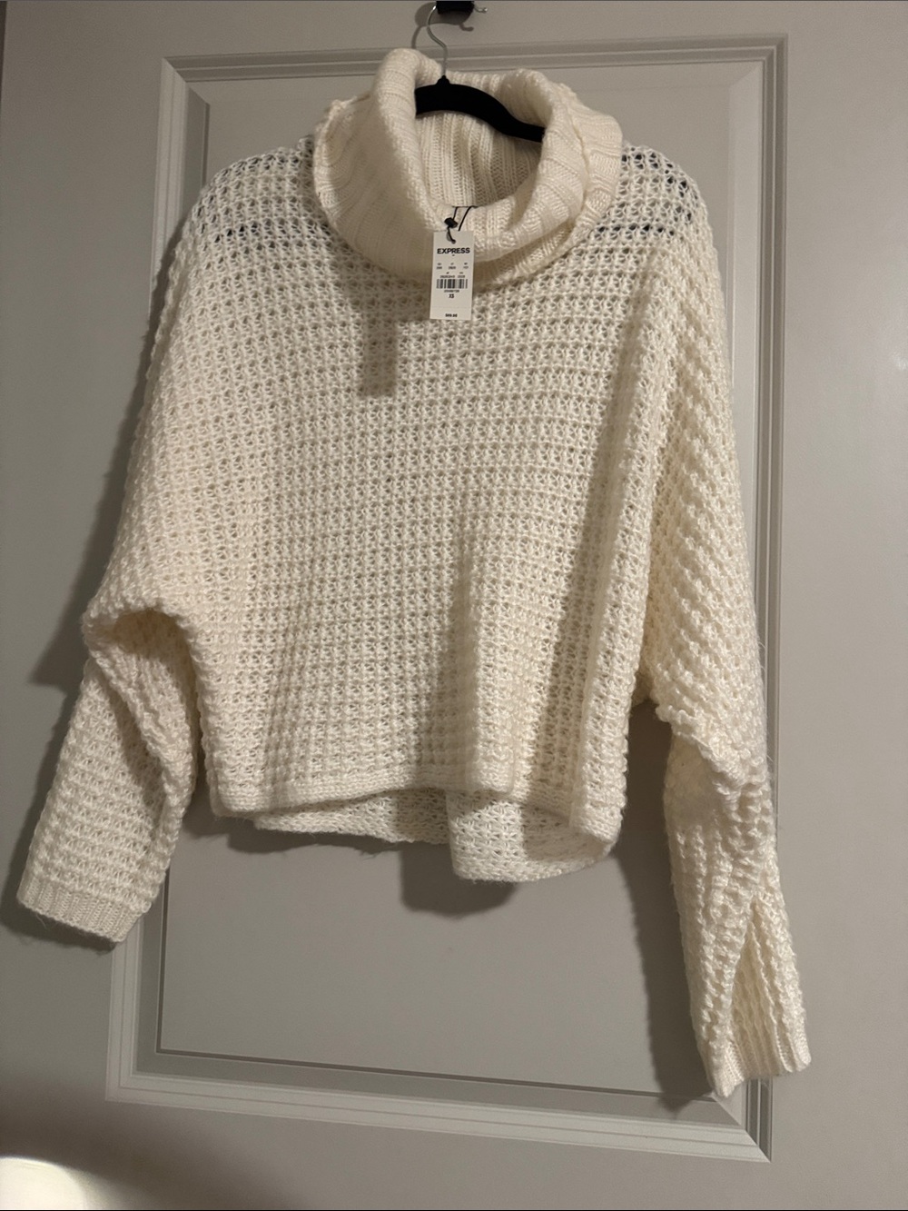 Express Cream Chunky Turtleneck Cropped Sweater